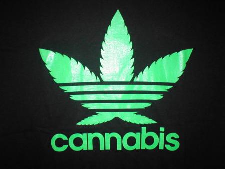 cannabis