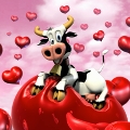 vache